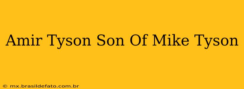 Amir Tyson Son Of Mike Tyson