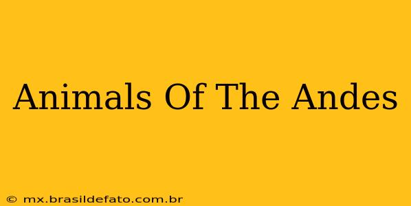 Animals Of The Andes