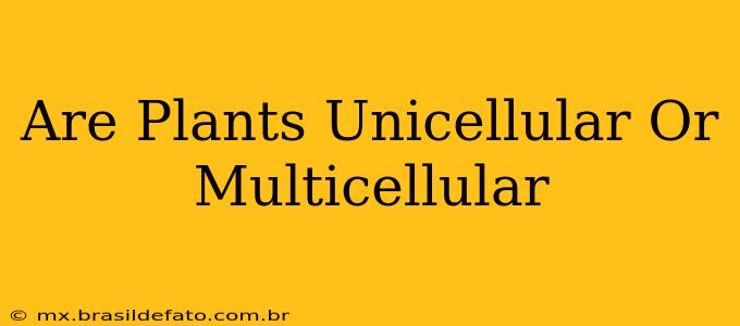 Are Plants Unicellular Or Multicellular