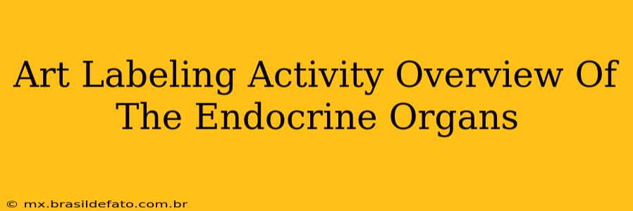 Art Labeling Activity Overview Of The Endocrine Organs
