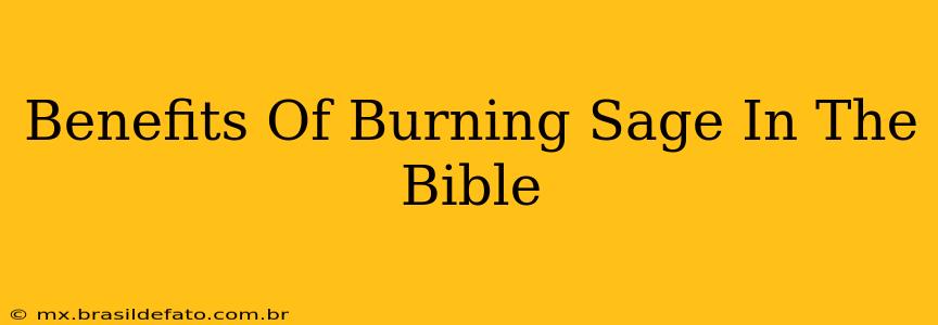 Benefits Of Burning Sage In The Bible