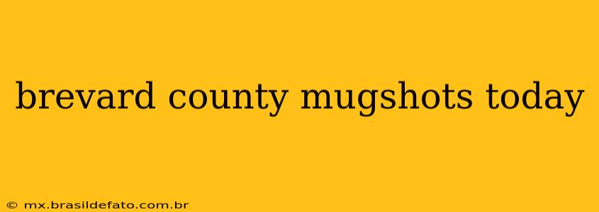 brevard county mugshots today