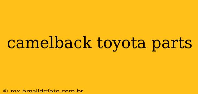 camelback toyota parts