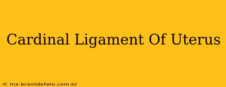 Cardinal Ligament Of Uterus