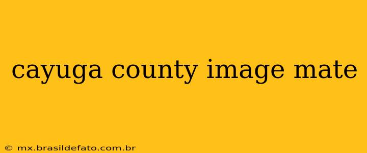 cayuga county image mate