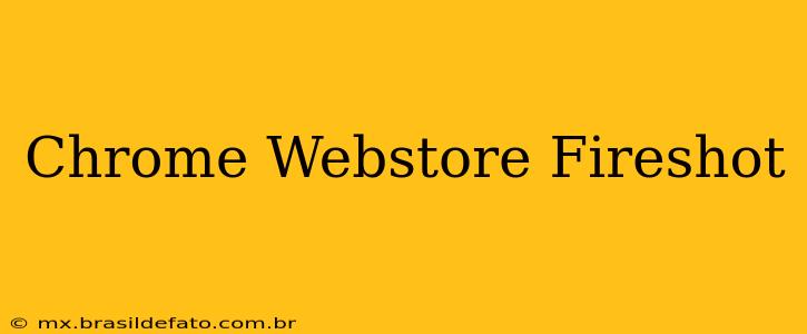 Chrome Webstore Fireshot
