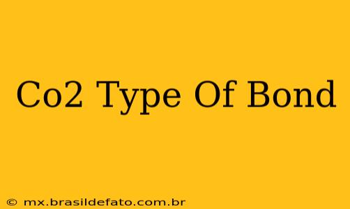 Co2 Type Of Bond
