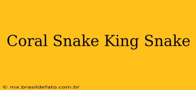 Coral Snake King Snake