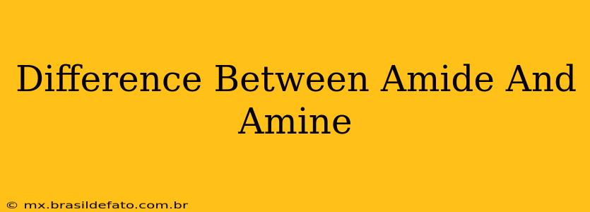 Difference Between Amide And Amine