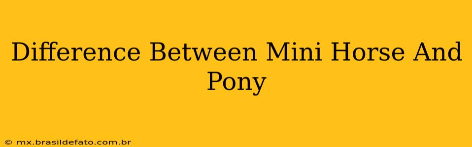 Difference Between Mini Horse And Pony