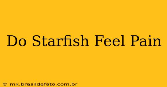 Do Starfish Feel Pain