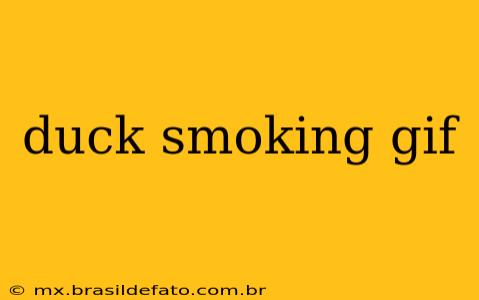duck smoking gif