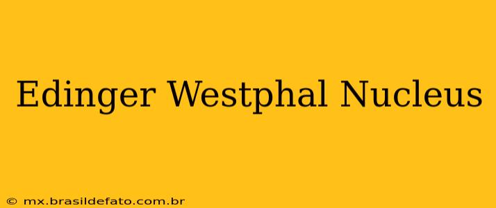 Edinger Westphal Nucleus