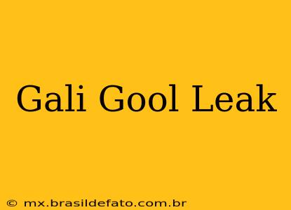 Gali Gool Leak