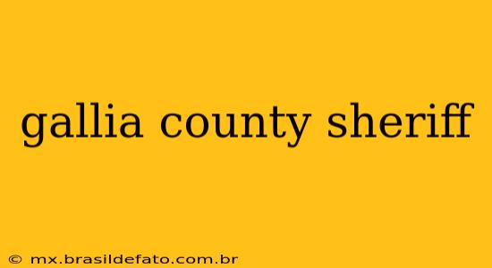 gallia county sheriff