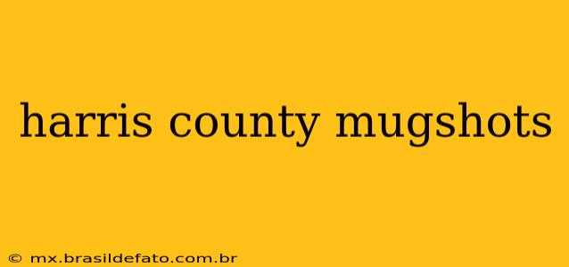harris county mugshots