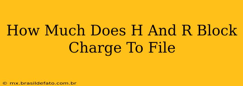 How Much Does H And R Block Charge To File