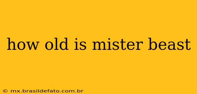 how old is mister beast