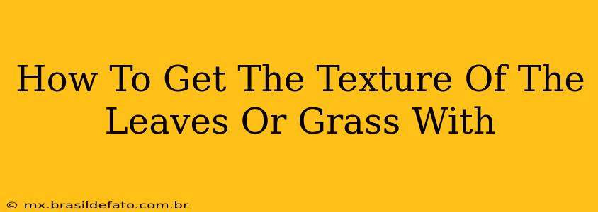 How To Get The Texture Of The Leaves Or Grass With