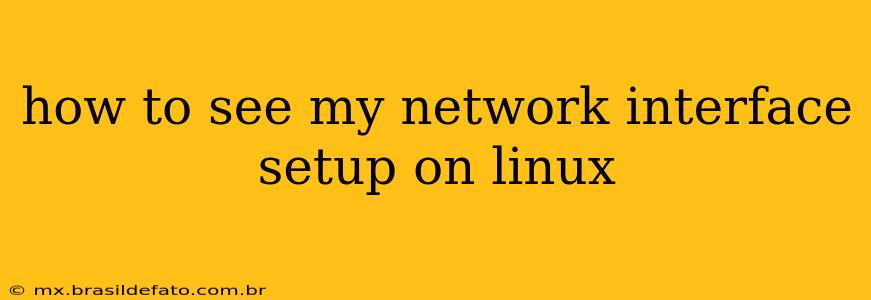 how to see my network interface setup on linux
