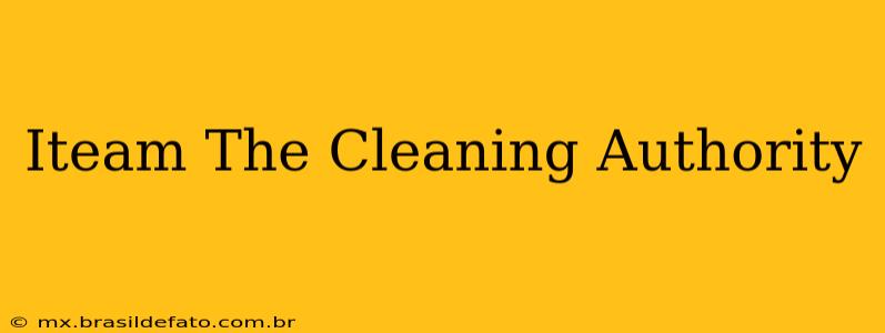 Iteam The Cleaning Authority