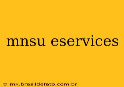 mnsu eservices