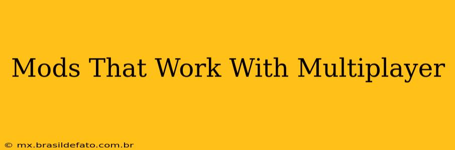 Mods That Work With Multiplayer