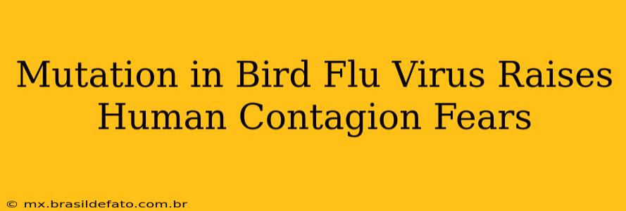 Mutation in Bird Flu Virus Raises Human Contagion Fears
