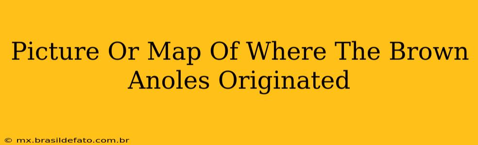 Picture Or Map Of Where The Brown Anoles Originated