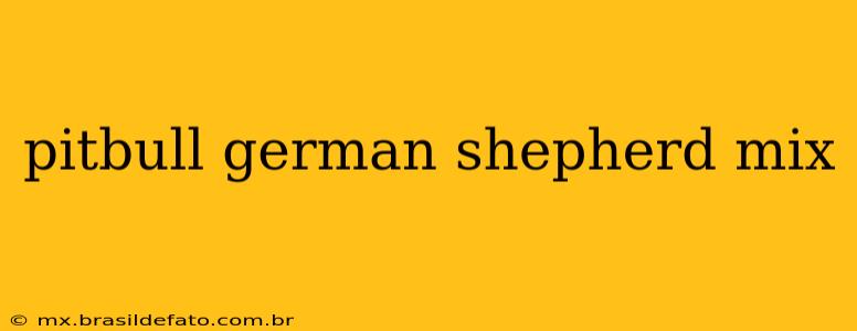 pitbull german shepherd mix