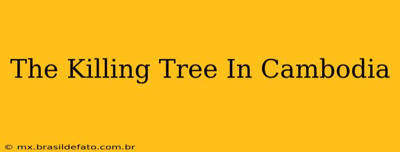 The Killing Tree In Cambodia
