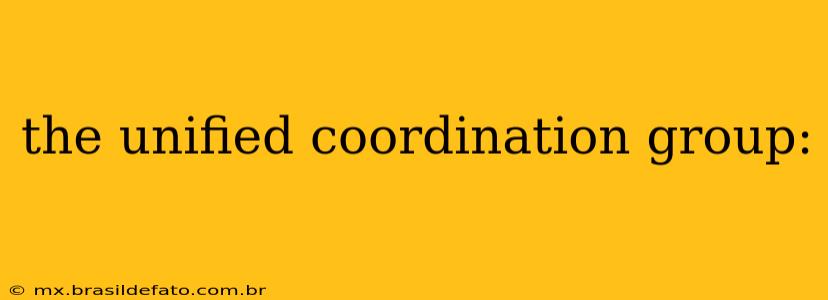the unified coordination group: