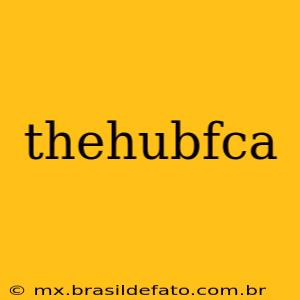 thehubfca