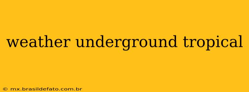 weather underground tropical