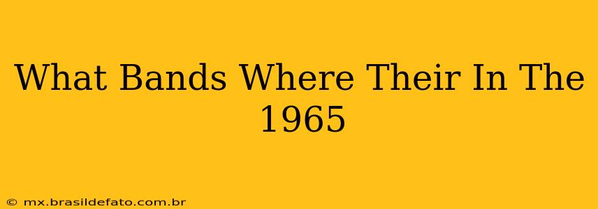 What Bands Where Their In The 1965