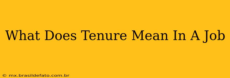 What Does Tenure Mean In A Job