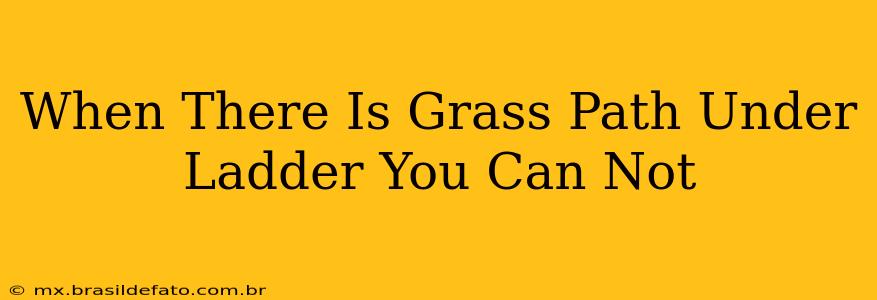 When There Is Grass Path Under Ladder You Can Not