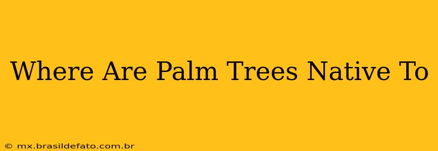 Where Are Palm Trees Native To